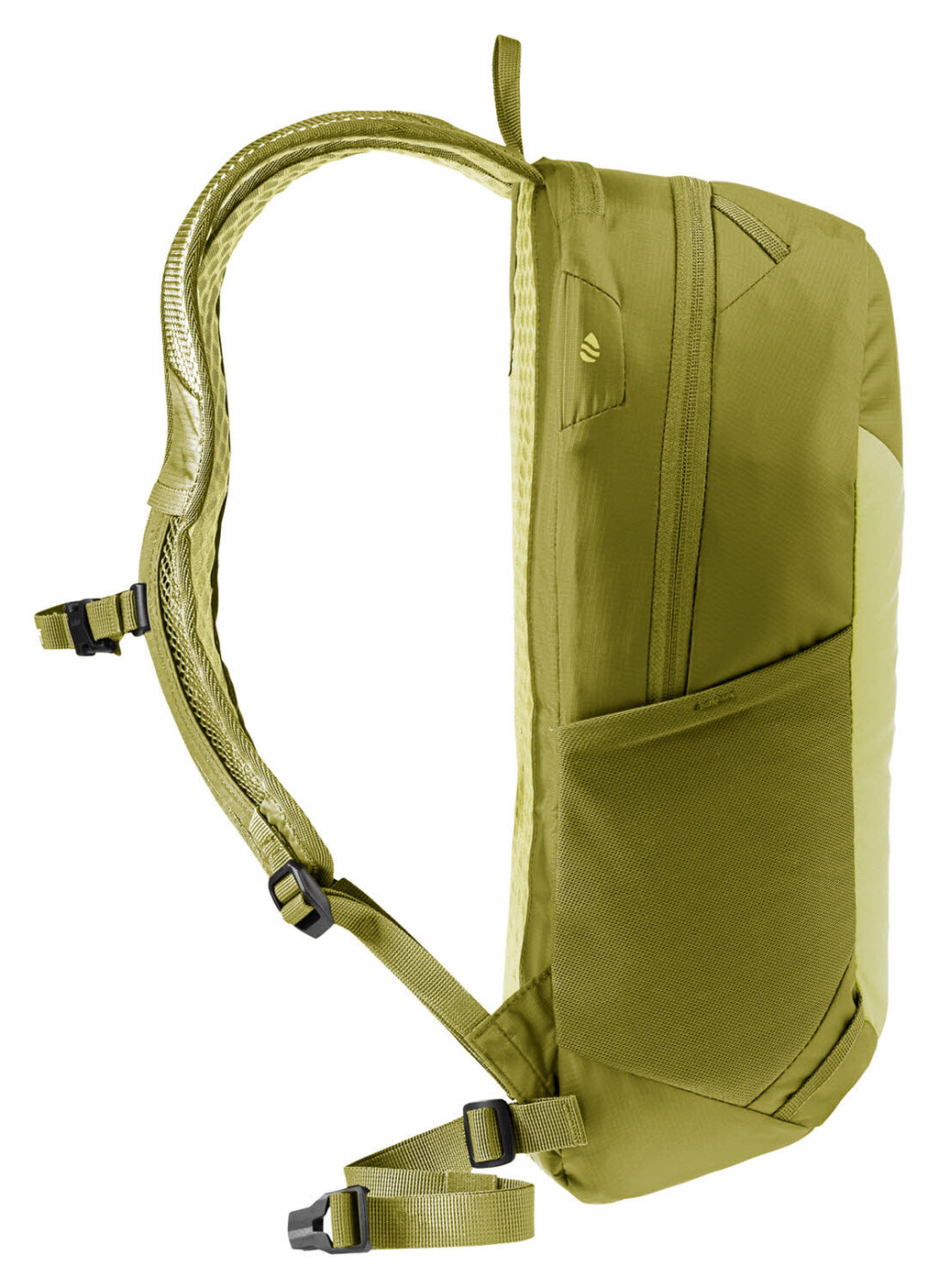 Speed Lite 13 linden-cactus