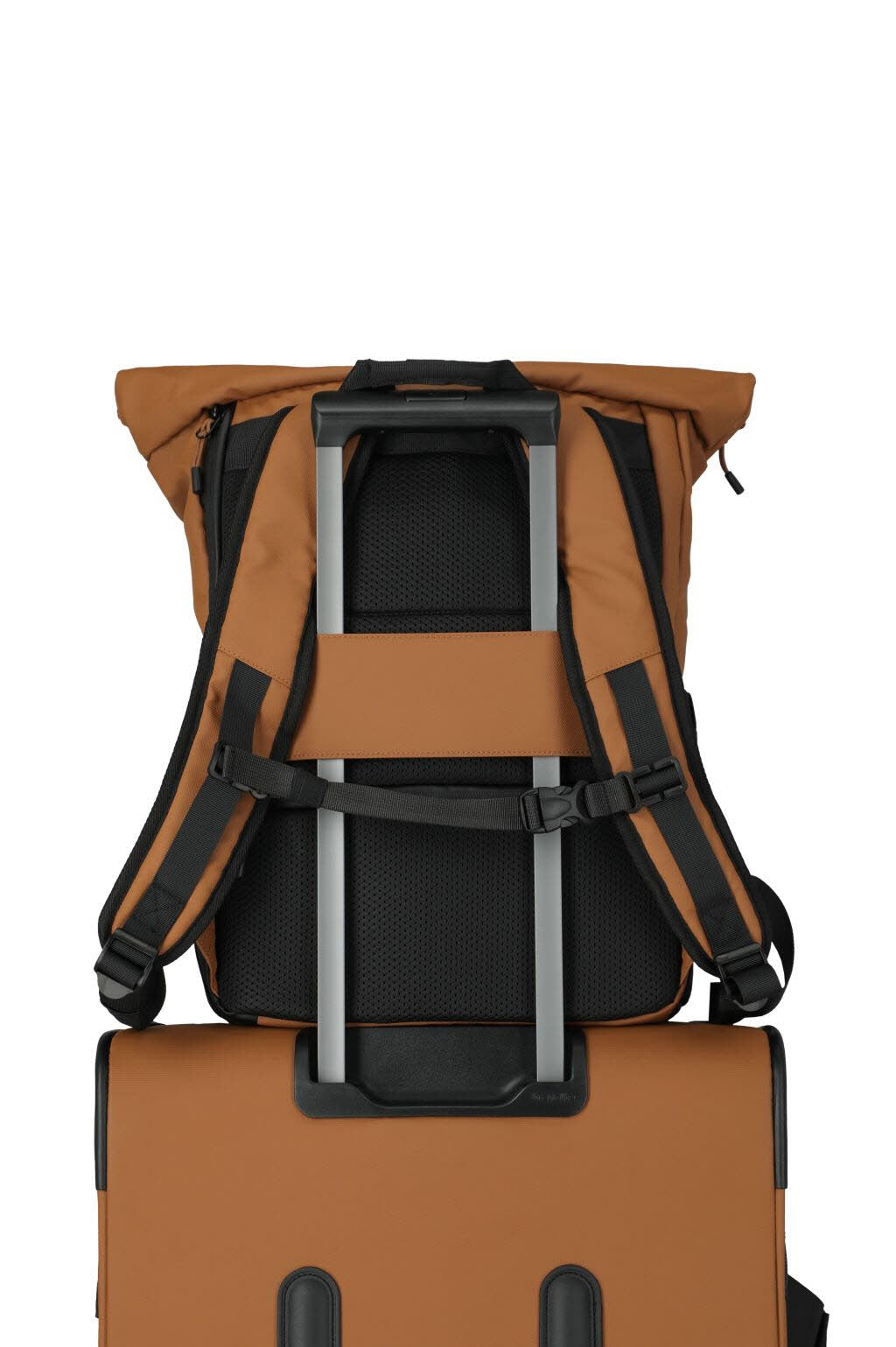 Rollup Backpack M Curry