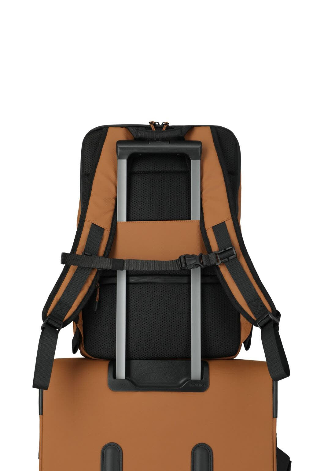 Backpack M Curry