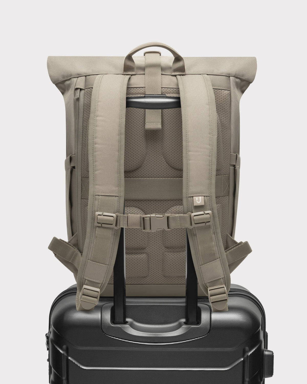 Allen Large 2.0 Desert Grey