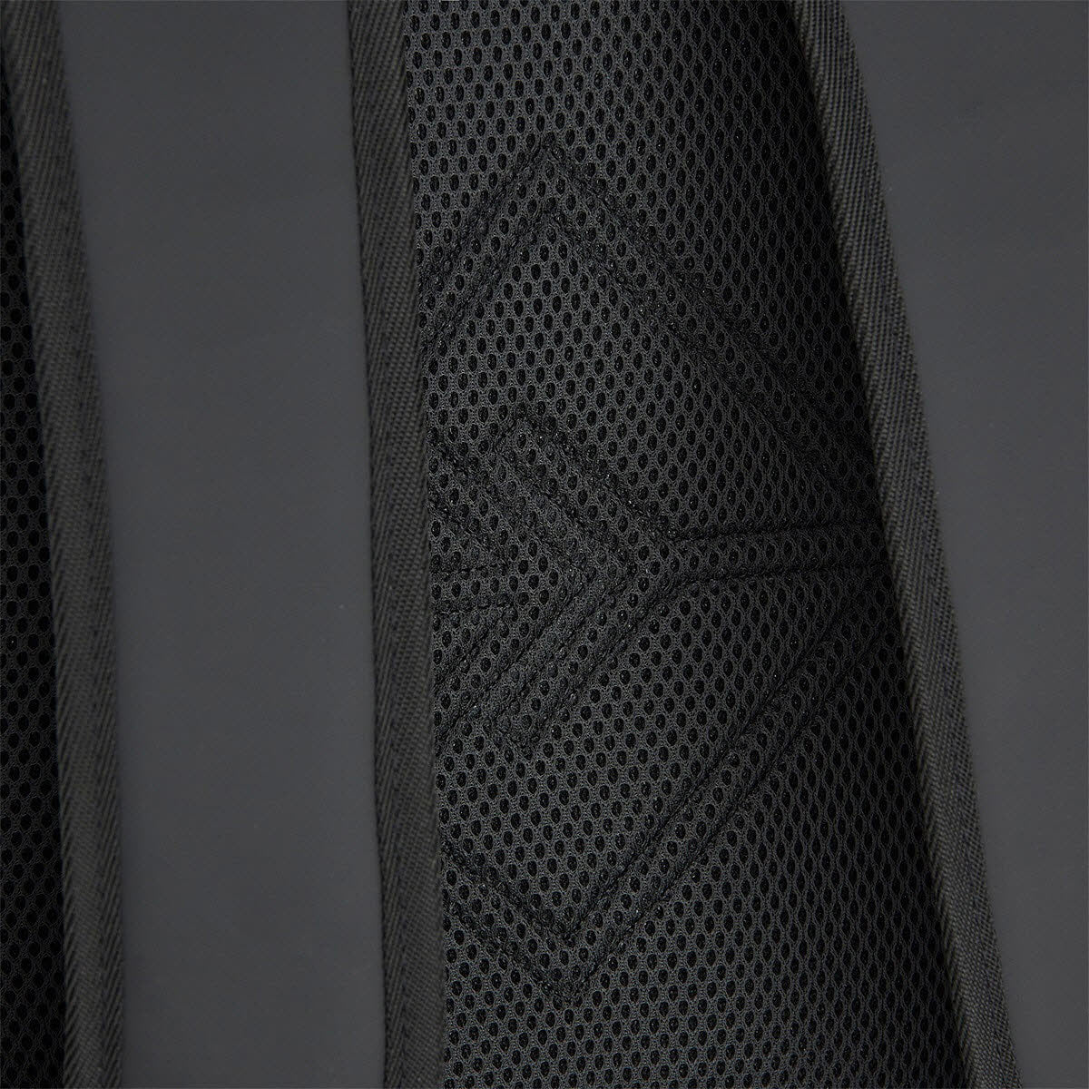 Rolltop 16l - New York Catface