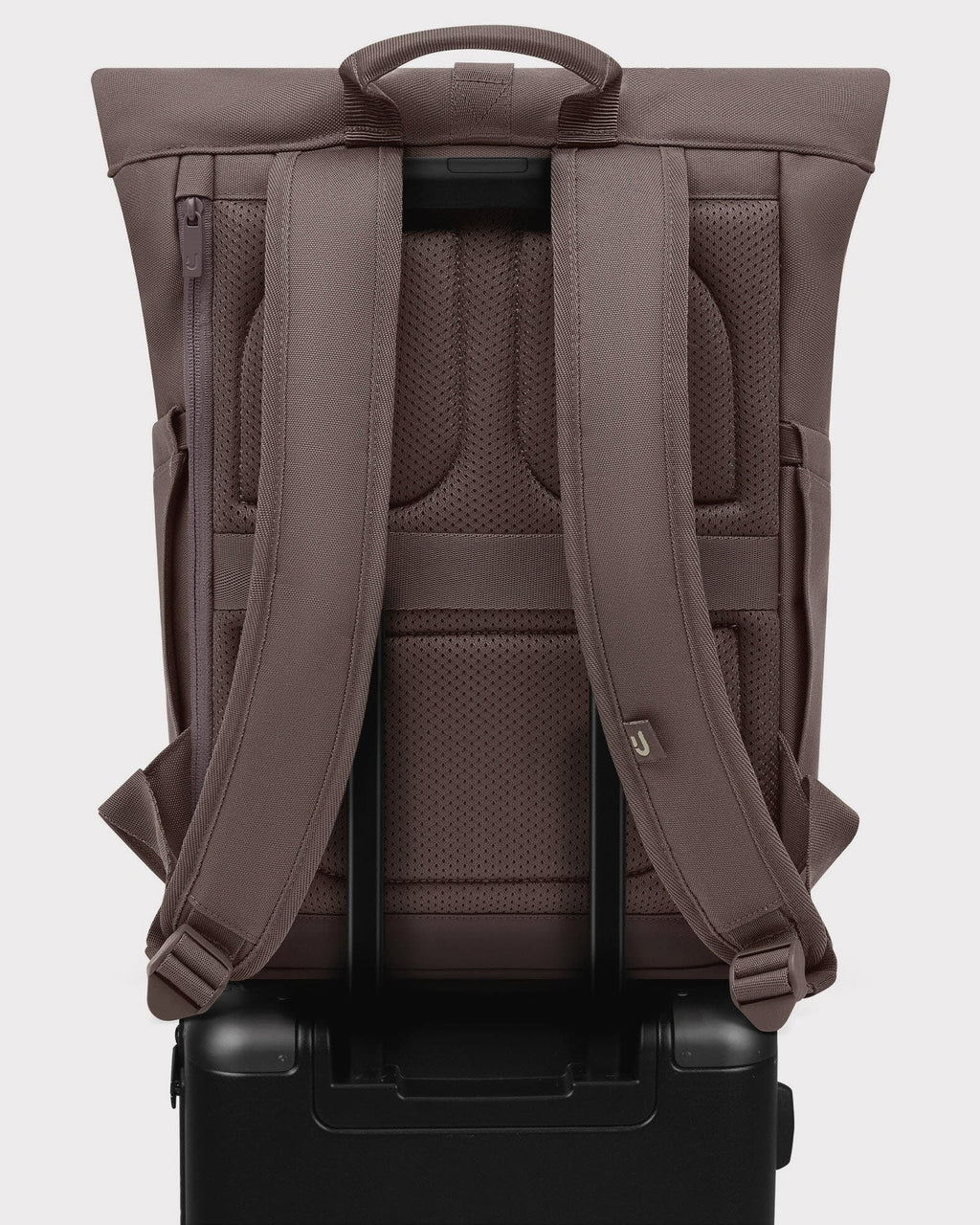 Luca Small brown