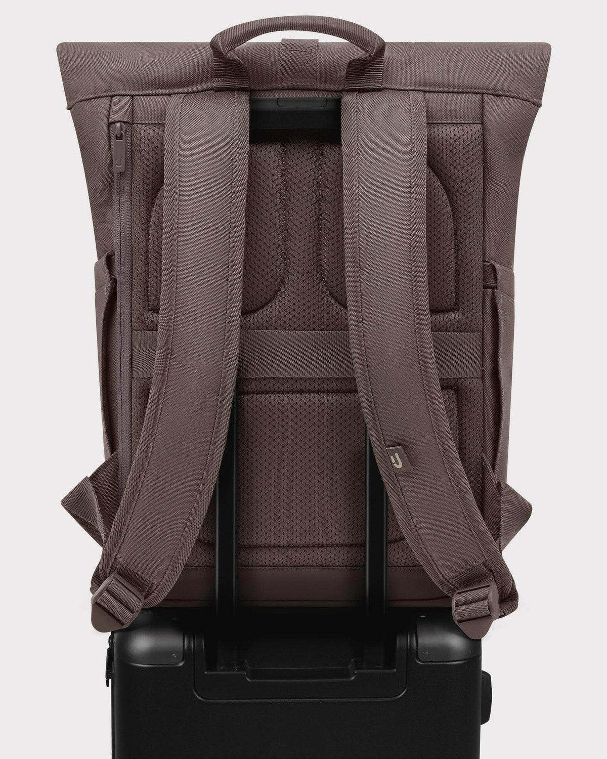 Luca Small brown