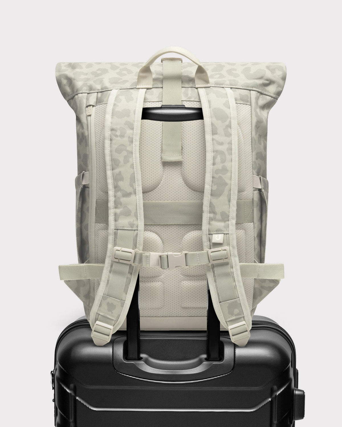 Allen Medium 2.0 sand leo