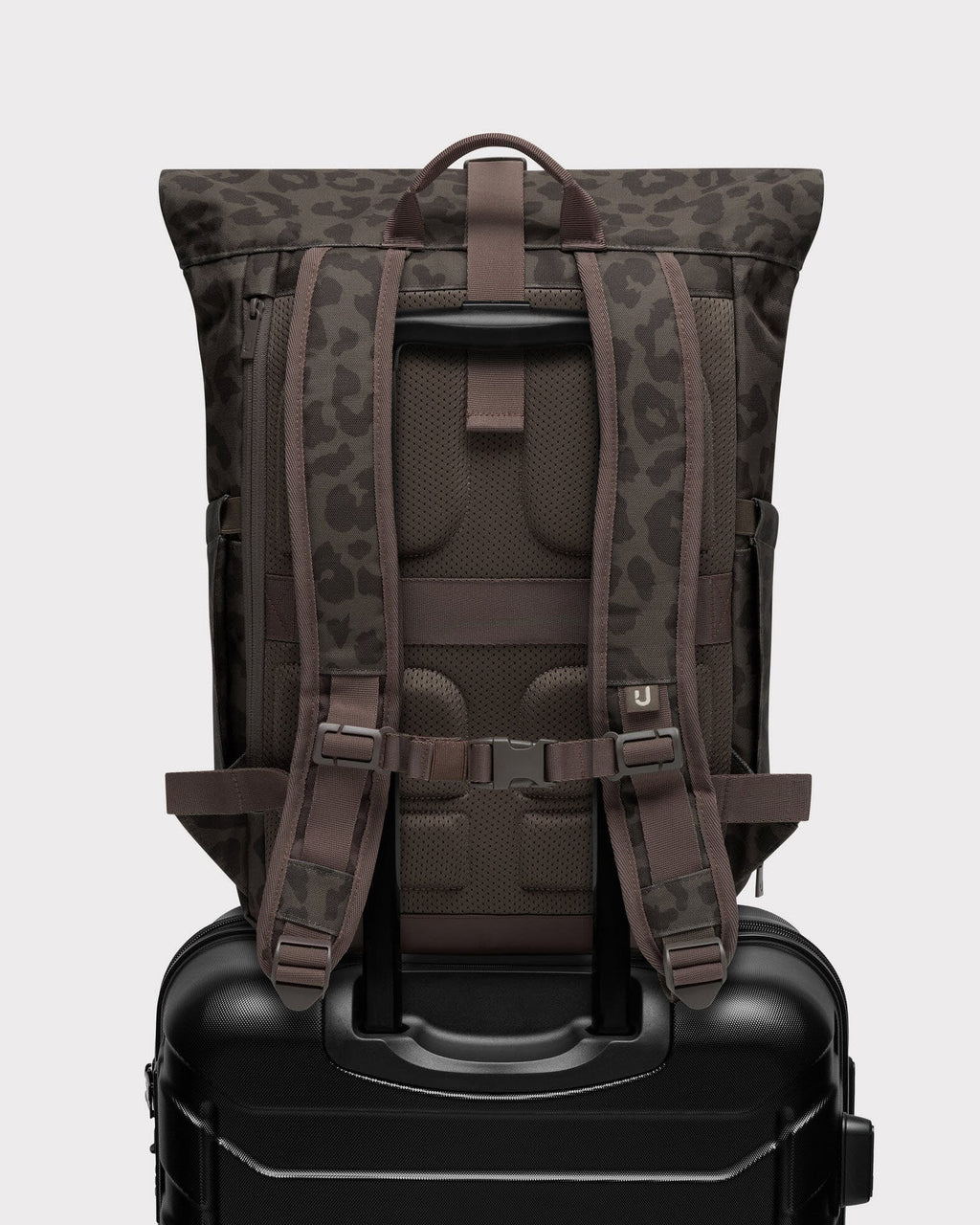 Allen Medium 2.0 brown leo