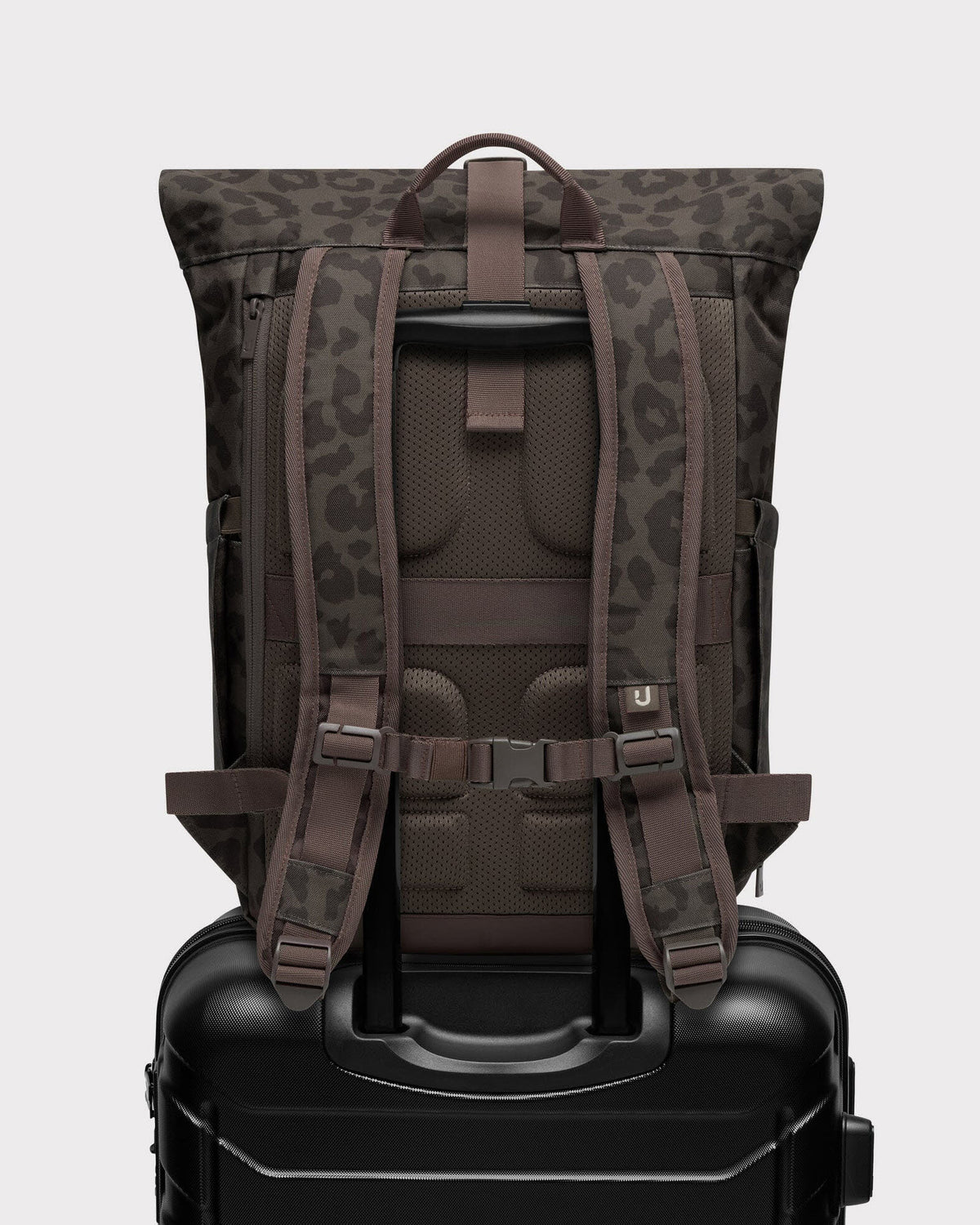 Allen Medium 2.0 brown leo