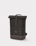 Luca Small brown leo