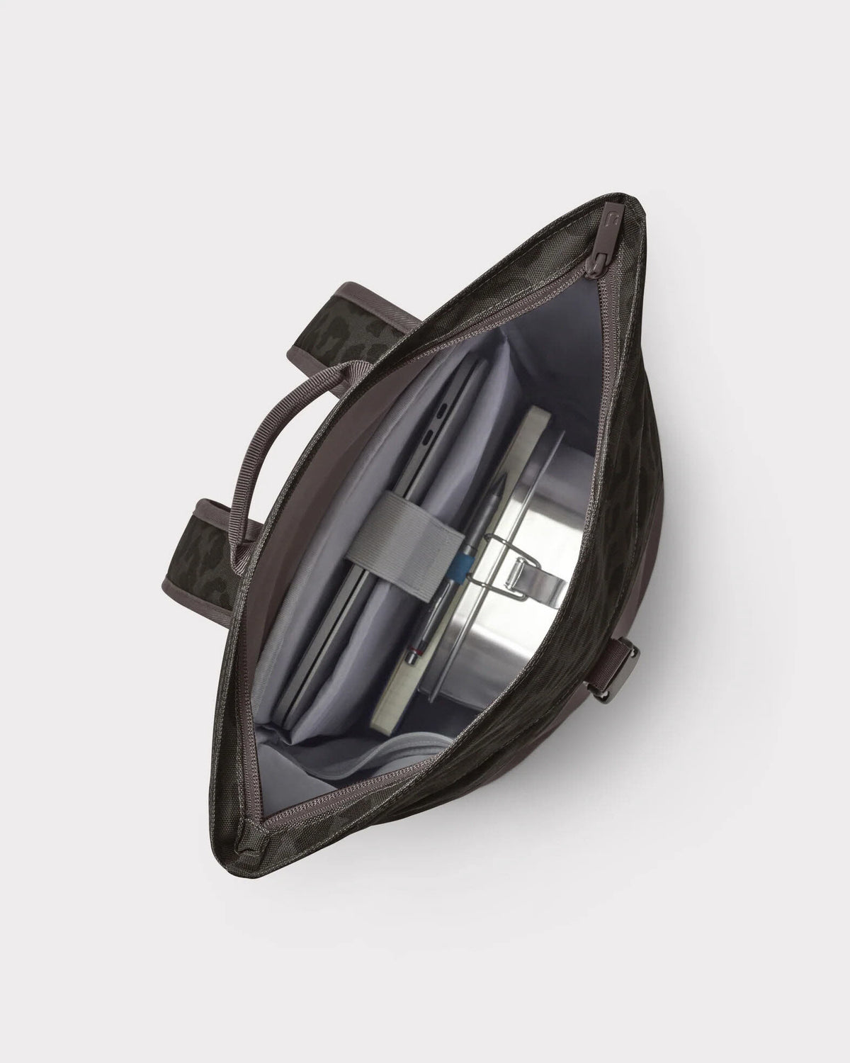 Luca Small brown leo