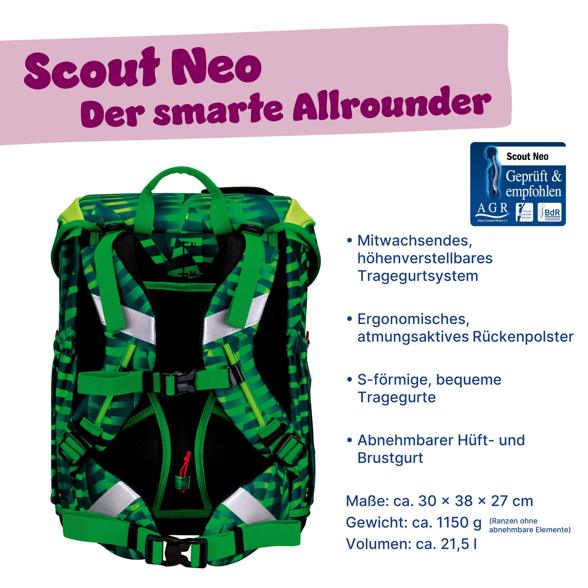 NEO SET DANGER DINO