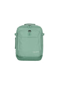 Rucksack/Bordgepäck Salbei