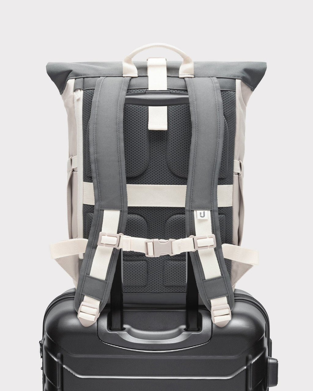 Allen Large 2.0 Sand-Grau