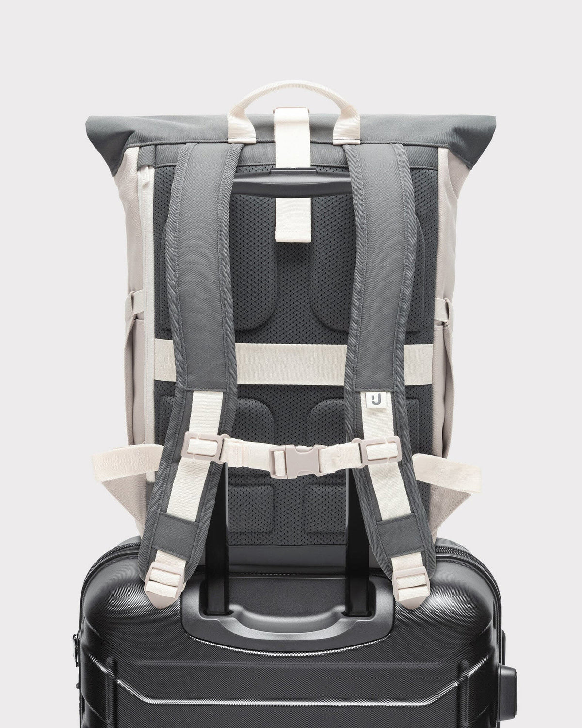 Allen Large 2.0 Sand-Grau