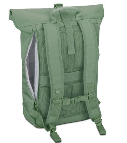 Allen Medium Salbei