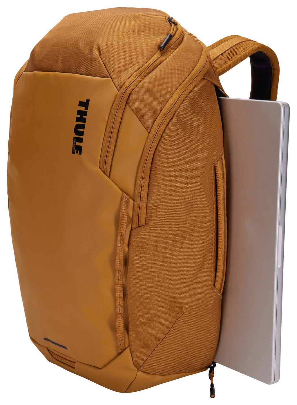 Backpack 26l Gold