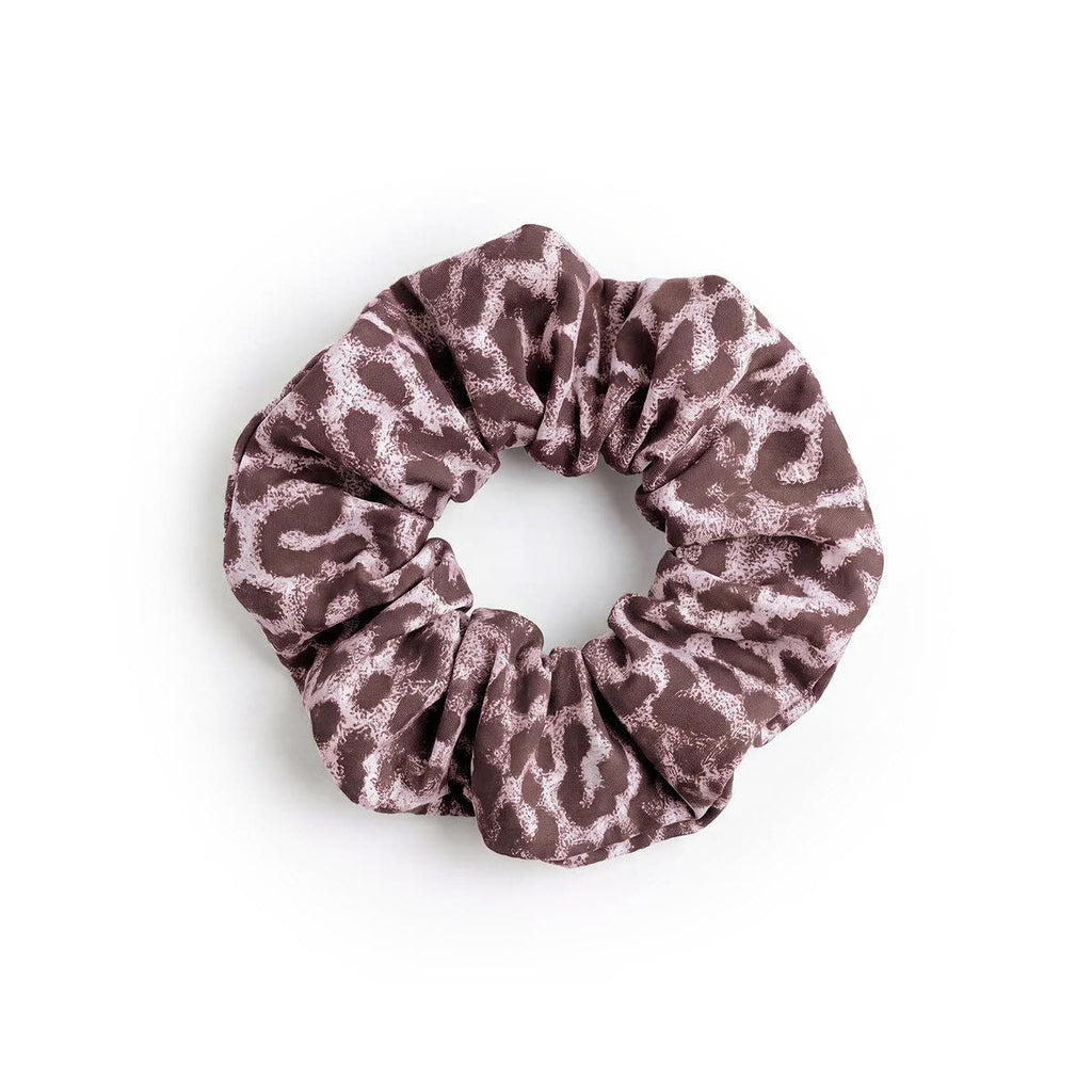 Scrunchie cat shark sea lion