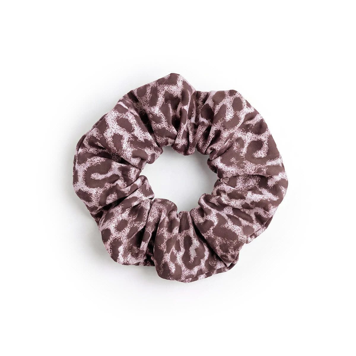 Scrunchie cat shark sea lion