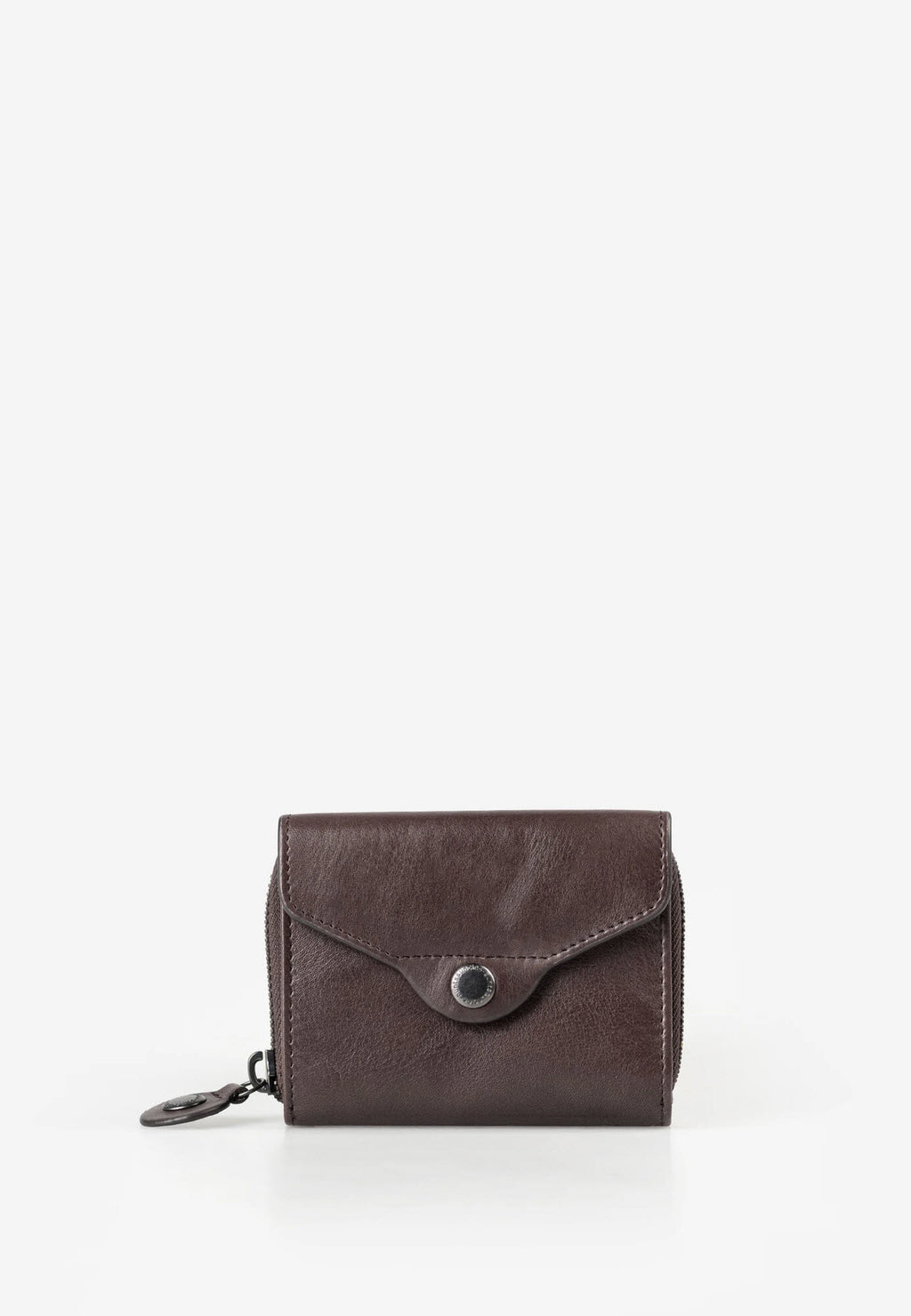 Judy Coffee Bean