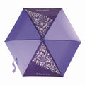 Schirm purple